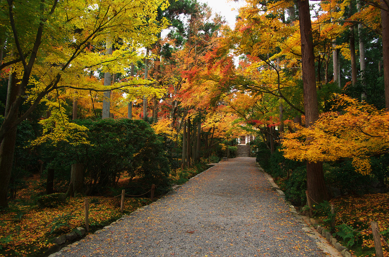 晩秋の龍安寺（後編・外庭編）_f0155048_15353533.jpg