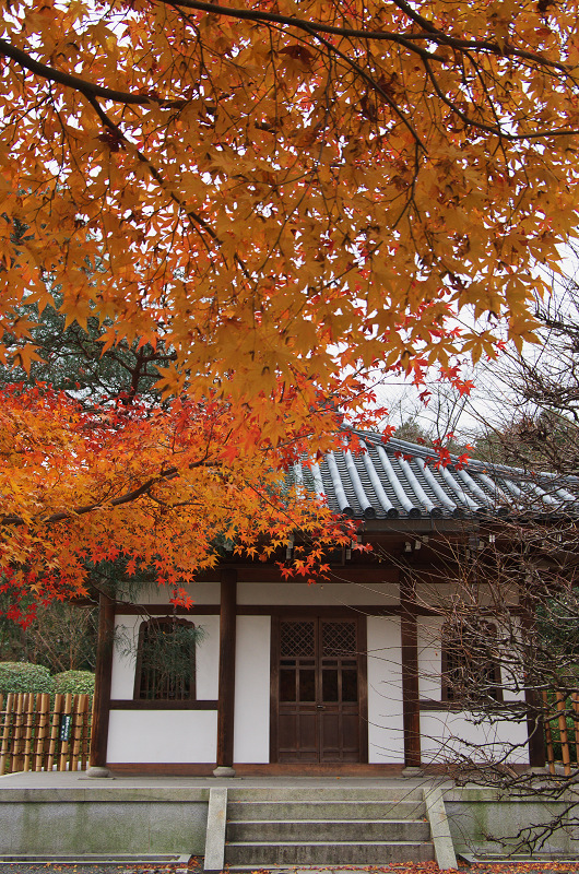 晩秋の龍安寺（後編・外庭編）_f0155048_15355072.jpg