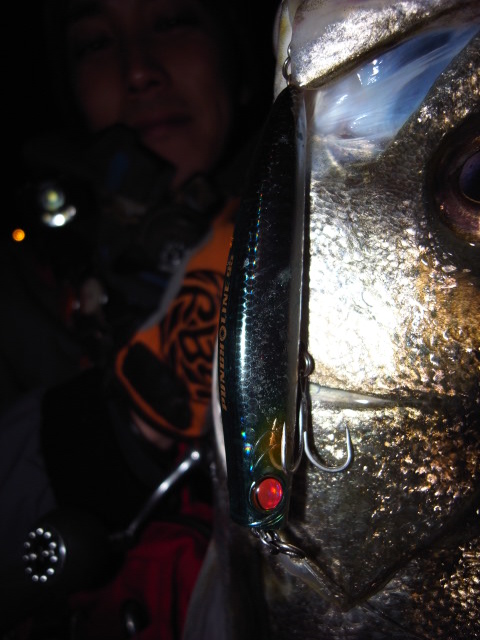 c0153951_2102268.jpg