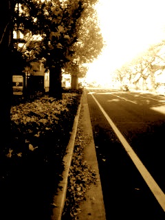 c0132052_6575151.jpg