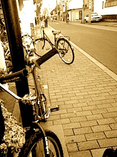 c0132052_6575864.jpg