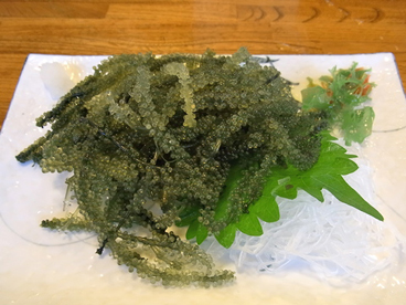 初 海ぶどう 虫 とったり とったり