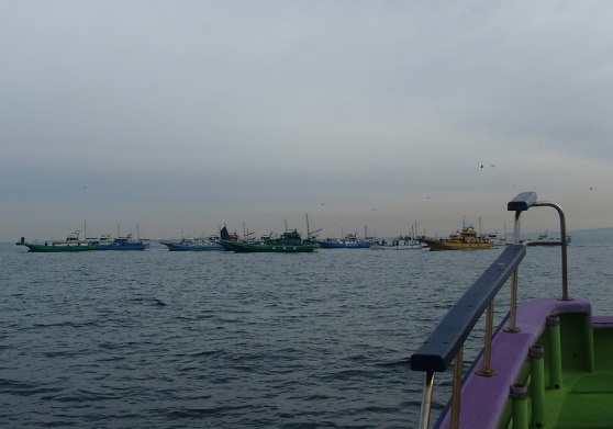 a0242657_156730.jpg