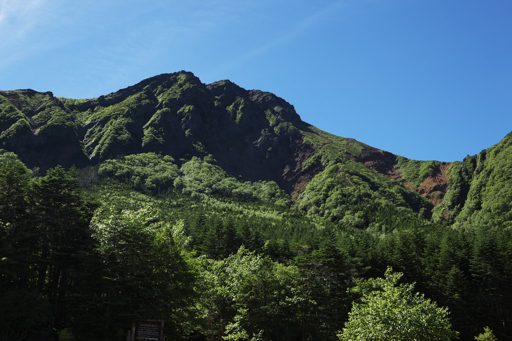 f0171065_1819444.jpg