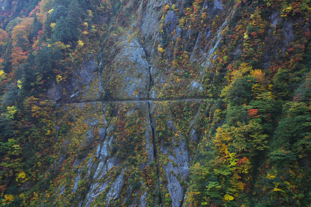 f0171065_19165684.jpg