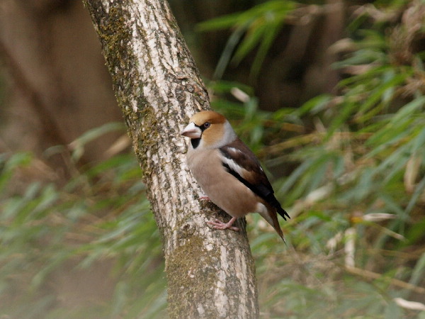 f0208666_1323145.jpg