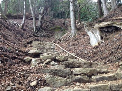 平塚通り大山道・コースと注意など_f0230467_15066.jpg