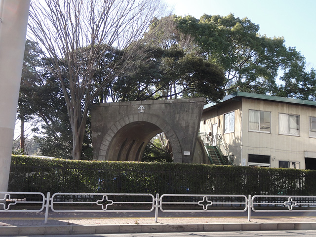 千葉公園のガチョウ （12/27）_b0006870_18352489.jpg