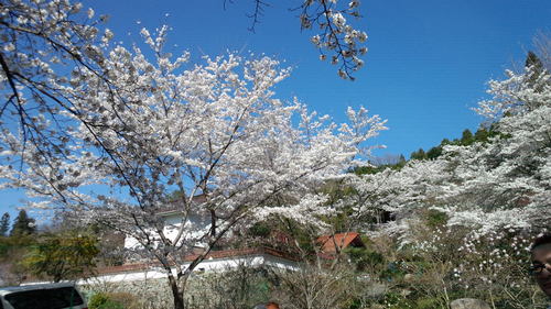 今年も有難うございました。_c0009280_11341160.jpg