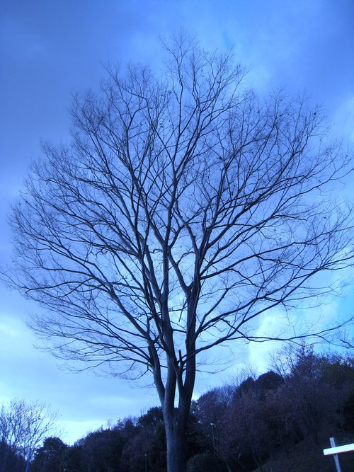 e0272081_2053938.jpg