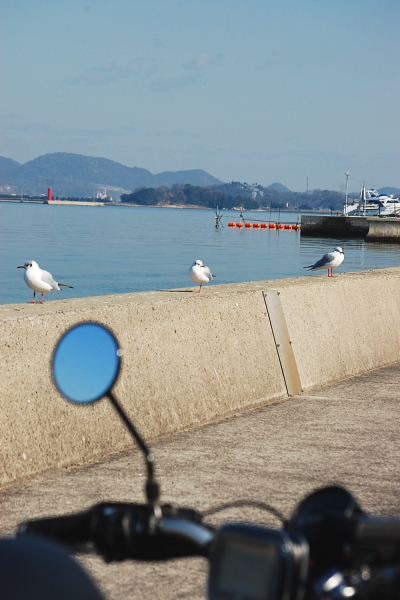 天気の良い日は海岸までバイクを走らせのんびりと・・・。_d0179983_21274098.jpg