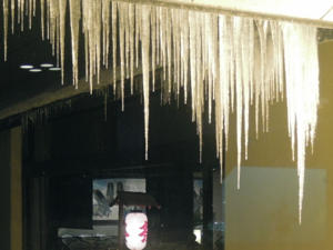 e0030586_2355420.jpg