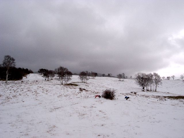 a0093592_33378.jpg