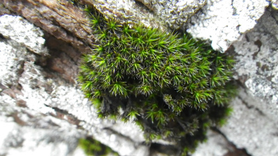 e0205502_20223491.jpg