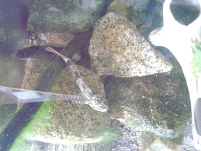 f0082402_16443528.jpg