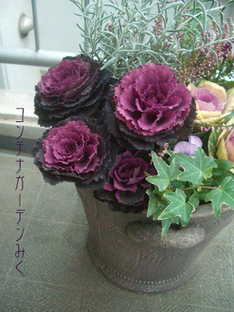 f0217905_1810623.jpg