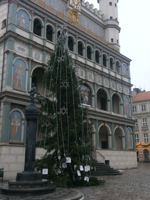 e0039206_1132076.jpg