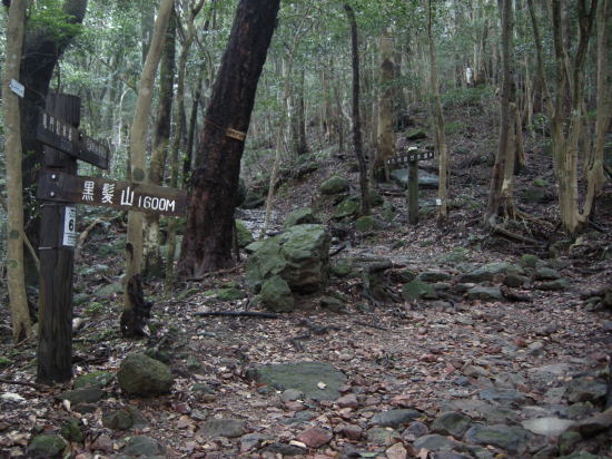 黒髪山　2012.12.29_f0196109_1946838.jpg