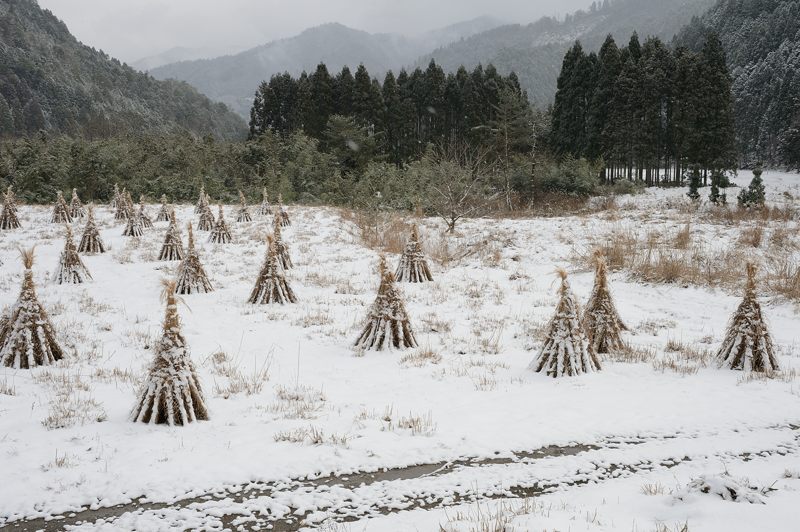 美山茅葺きの里 初雪撮影!・其の三_f0032011_19133938.jpg