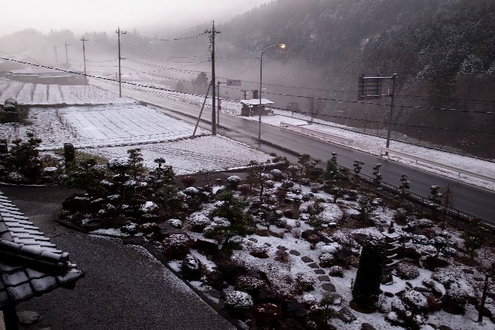 雪がいくらか積った朝_a0268412_22555523.jpg