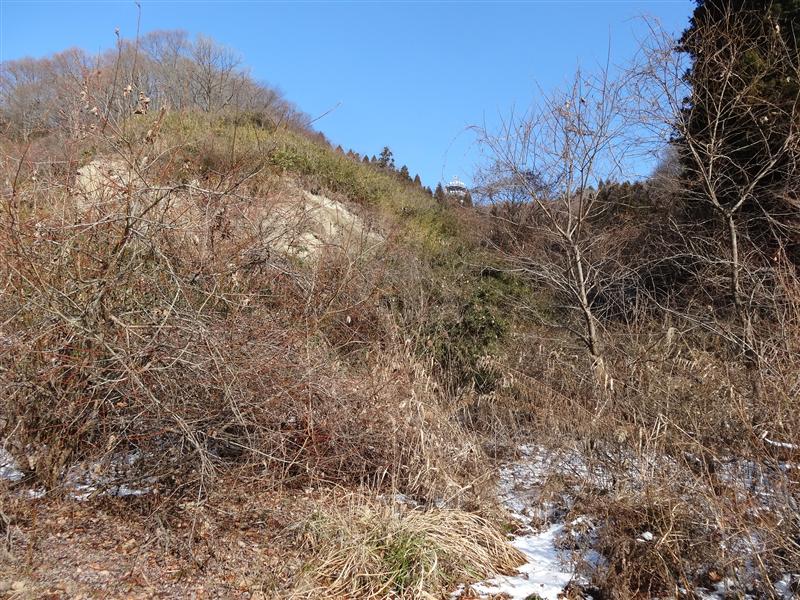 a0127015_2015537.jpg