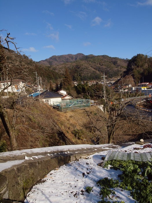 北東の風景と畑など_c0116915_238854.jpg