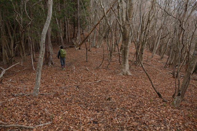 e0051018_13324719.jpg