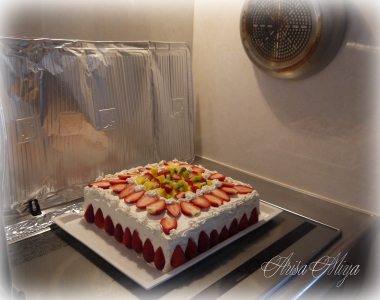 クリスマスケーキ特大を作った画像 キャンピングカーとヘルシーライフと育児 クリスマスケーキ特大を作った画像 キャンピングカーとヘルシーライフと育児