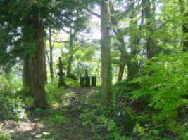 まちかど歴史探訪に栃尾の貴渡神社が載っていました_d0178825_51095.jpg