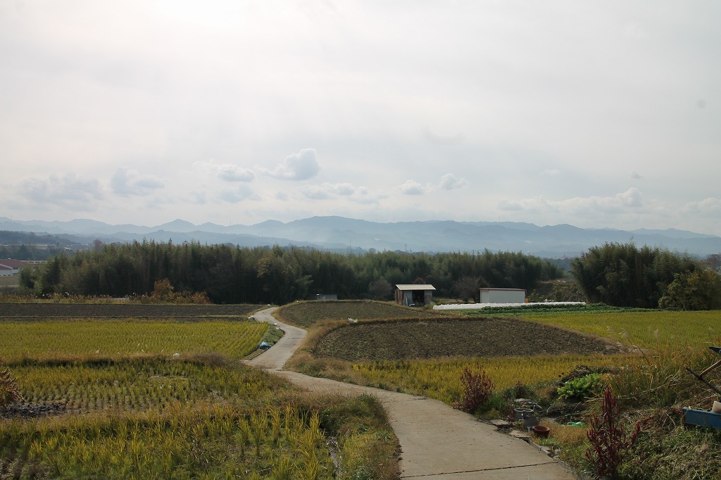 b0162728_8245258.jpg