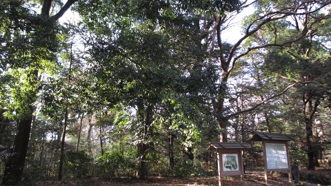 e0202031_22374314.jpg