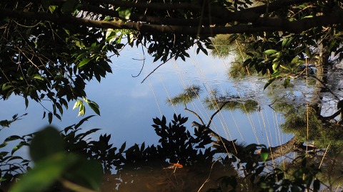 e0202031_22471474.jpg