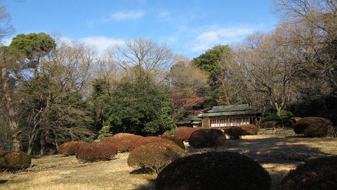 e0202031_2248292.jpg