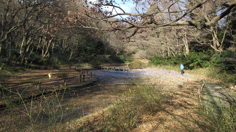 e0202031_22484758.jpg