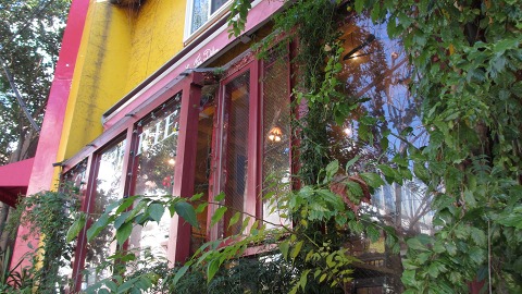 e0202031_2315958.jpg