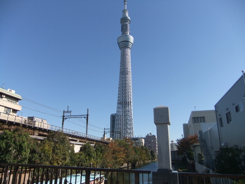 今年のニュースは....金環日食ほか_b0137932_10251717.jpg