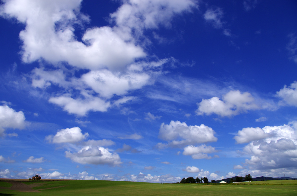 f0152939_1773092.jpg