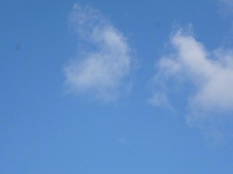 b0238249_21291980.jpg
