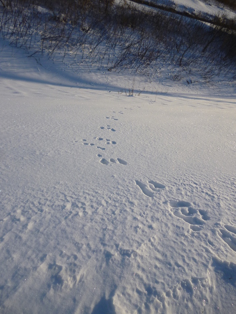 b0238249_2152016.jpg