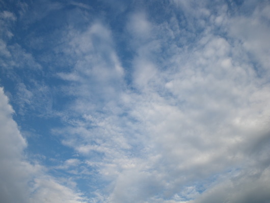 ワンデム２０１２夏〜０８０１水〜北海道函館農村公園−２〜ｄａｙ１１_f0046250_17232049.jpg