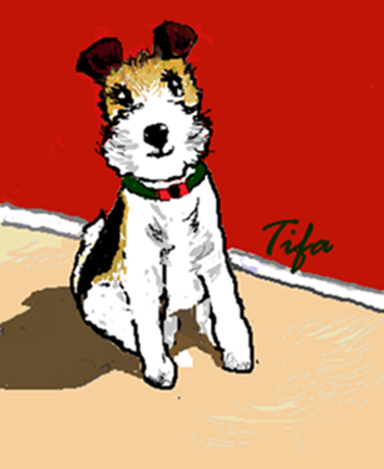 b0228954_2231452.png