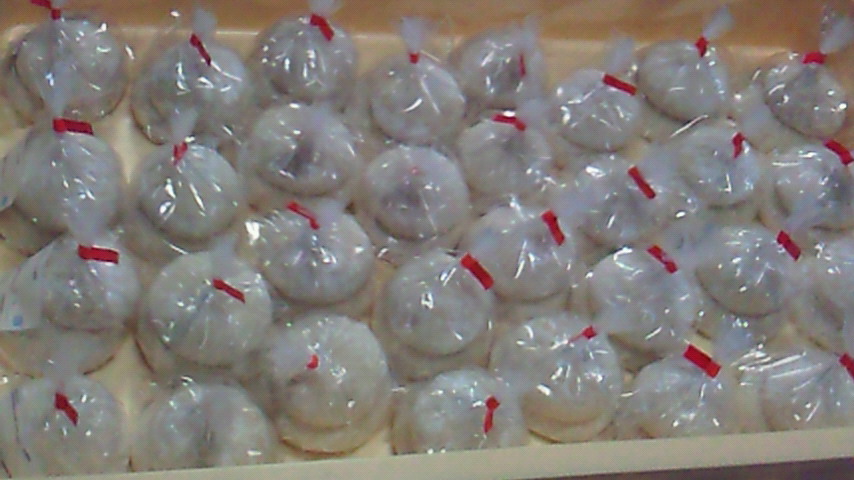 a0169558_22445313.jpg