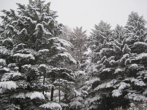 f0236260_16452492.jpg