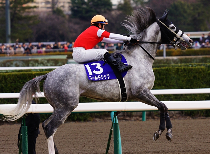 ゴールドシップ　2012有馬記念　馬券 ゴールドシップ【有馬記念2012】 - YouTube