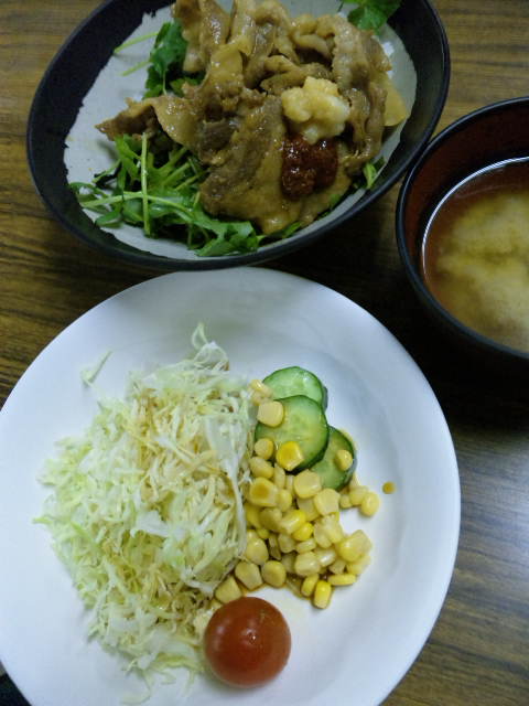 焼肉丼 大盛り生野菜_f0060671_11422468.jpg