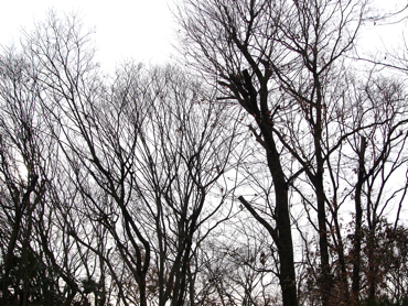c0040472_2184448.jpg