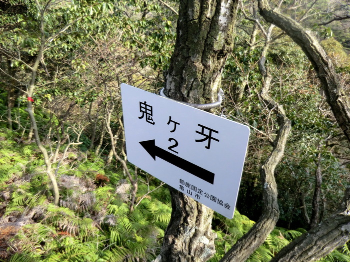 No264　鈴鹿南部の岩峰鬼ケ牙から臼杵岳へ_b0185573_9311261.jpg