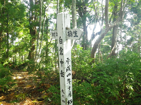 京都北山　白倉岳～雲洞谷山_c0002874_15282586.jpg