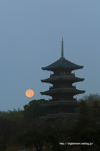 吉備路の朝　｢2012 12/29 ｣_c0083985_941154.jpg