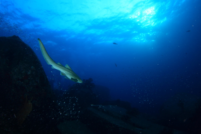 f0144385_00223.jpg